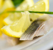 Herring filet