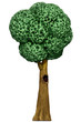 Cartoon tree with hollow
