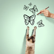 Siamese cat