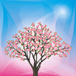 Spring background with sakura blossom - japanese cherry tree