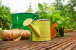 Gardening tools