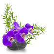Foto: bambou et tige d'orchidée sur galet zen bambou et tige d'orchidée sur galet zen