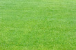Lawn