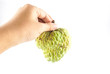 hand hangs a custard fruit