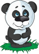 panda