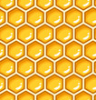 Seamless pattern with honeycomb. Vector illustration.