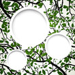 Vector Illustration of a Natural Background with Branches