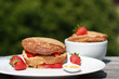 Fraisier