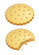 two crispy cookies isolated on white background - eps10 vector