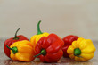 Hot red and yellow chili peppers with copy space