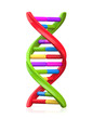 Colorful Dna Model