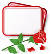 Vector: Card with red rose Card with red rose