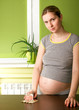 Cute Pregnant Woman On Kitchen