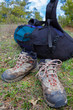 touristic backpack and books