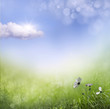 Photo: spring background spring background