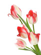 Bouquet of flowers on a white background. EPS 10