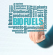 Biofuels or Biofuel