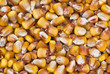 Background of dried corn
