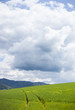 farm field with tracks