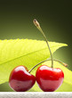 Cherries