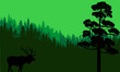 single deer silhouette in dark green forest