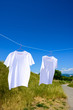 爽やかな青空と真っ白いTシャツ