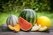 Fresh melons
