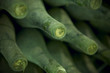 Wine bottles in an aging process