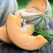 Cantaloupe Melonen