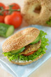 Bratling mit Salat,Gurke und Tomate