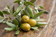 aceitunas