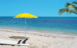 surfboard, palm and parasol