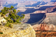 Photo: Horizontal view of famous Grand Canyon Horizontal view of famous Grand Canyon