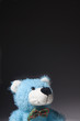 The Hopeful Bear