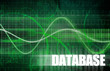 Database