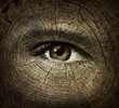 Illustration: Aging Concept Aging Concept