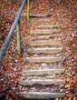wooden steps