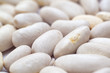 Photo: Kidney beans Kidney beans