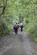 Hikers on forest