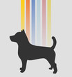 Art dog