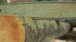 saw cuts wood