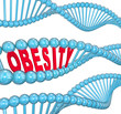 Obesity Word DNA Strand Medical Research Fat Hereditary