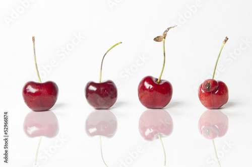 Photo: Be different! Cherries on White Background. One is...male Be different! Cherries on White Background. One is...male