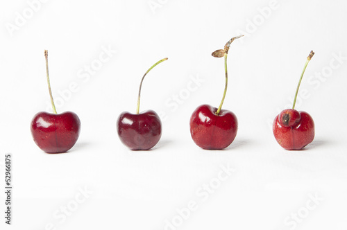 Photo: Be different! Cherries on White Background. Be different! Cherries on White Background.