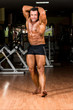 muscular body builder showing his front abdominal abs