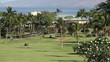 Golfer Hits Ball
