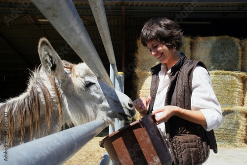 Photo: female farmer feeding donkey female farmer feeding donkey