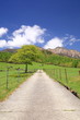 Straight road in meadow and Mt. Yatsugatake