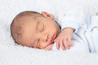 Newborn Boy