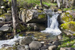 Arroyo Solana Toro